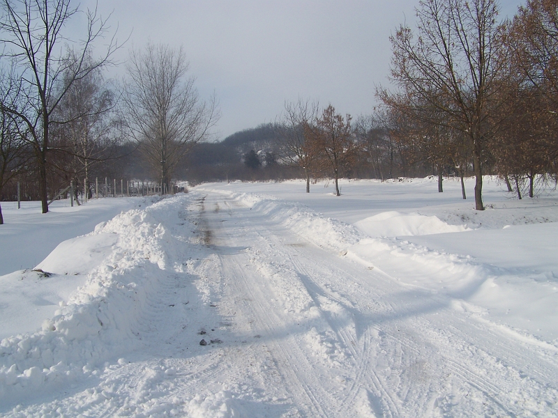 2012.02.09. 052.jpg